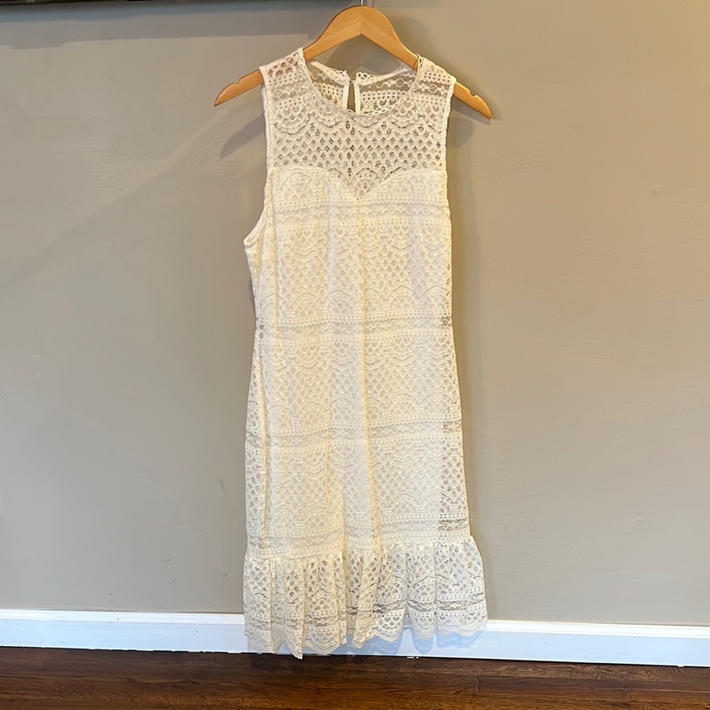 Francesca's Lace Trumpet Dress